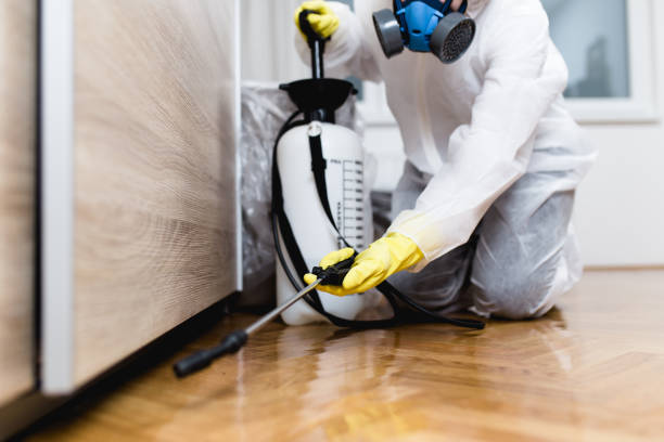 Best Best Pest Control Companies  in Porterville, CA