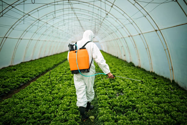Professional Pest Control in Porterville, CA