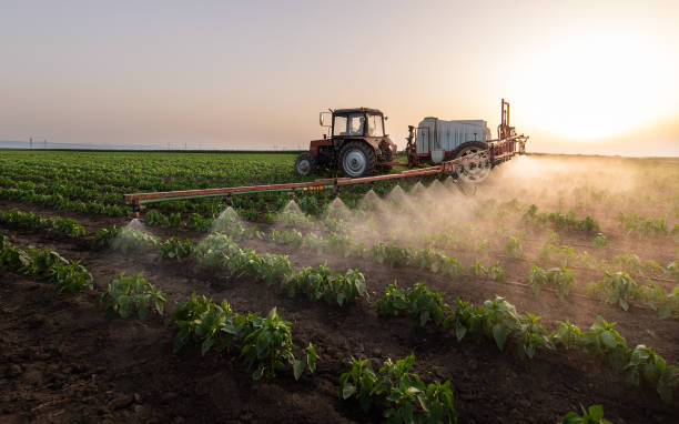Best Ant Control Services  in Porterville, CA