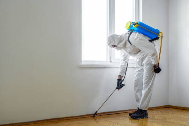Flea Control Services in Porterville, CA