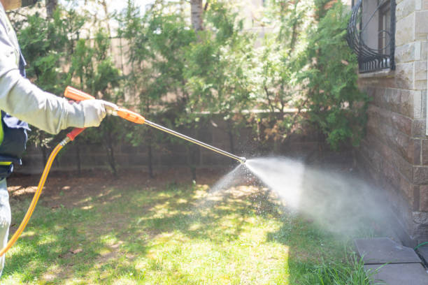 Best Pest Removal Services  in Porterville, CA
