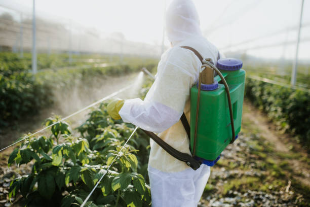 Best Flea Control Services  in Porterville, CA